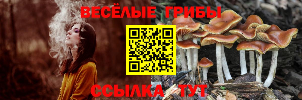Рубцовск  Галлюциногенные грибы ЛСД  где найти   Вход с VPN 