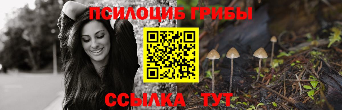 Псилоцибиновые грибы прущие грибы Рубцовск